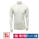 肌着 インナー 半袖 丸首 シャツ クルーネック 綿100% 2枚組 抗菌防臭 働く良品 M/L/LL 8959