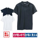 ポロシャツ 半袖 ショート丈 足長効果 スリムフィット 働く良品 261234