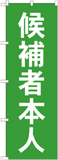 のぼり旗 選挙活動 候補者本人 GNB-1919