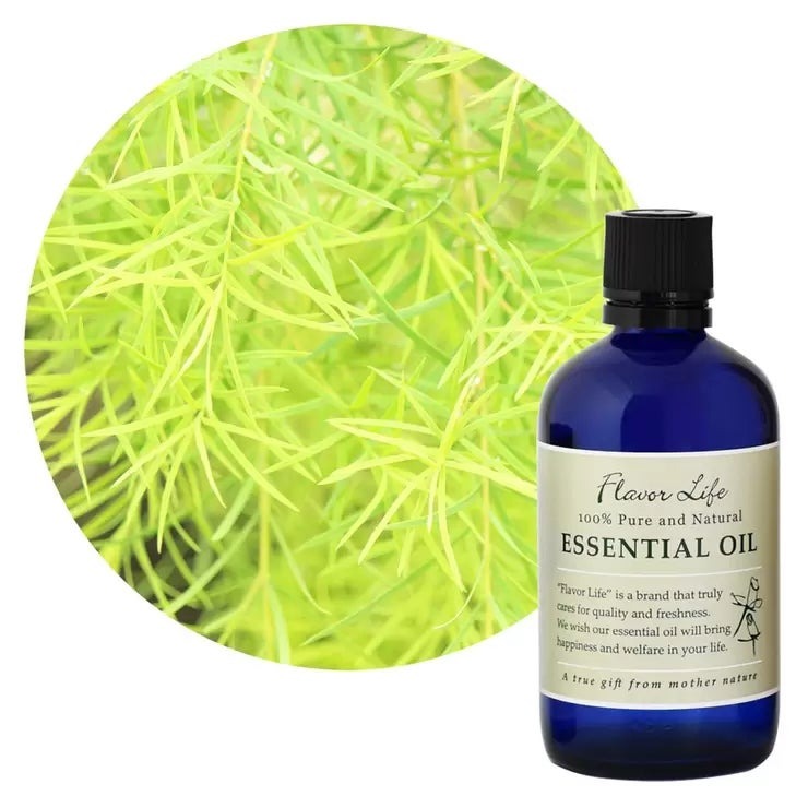 フレーバーライフ エッセンシャルオイル ティートリー精油 100ml Flavor Life Essential Oil Teatree 100ml アロマオイル 天然 抗菌 防臭 大容量 業務用 アロマテラピー 虫除け スキンケア ディフューザー 加湿器 ブレンド