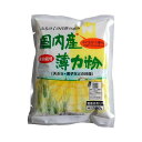 桜井食品 国内産薄力粉(契約栽培) 500g×12個【送料無料】