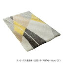 グラムスタイル ヴァロ玄関マット 45x60cm 「GSCD312166」
