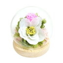 お供え用(仏花) 四季スフィア プリザーブドフラワー 睦月 ツバキ C38301