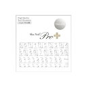 Sha-Nail Pro PLUS 写ネイル ネイルシール No.pd -Silver- CHIHO-PPD02