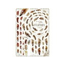 Sha-Nail Pro 写ネイル ネイルシール Feather (Redbrown) FTR-001
