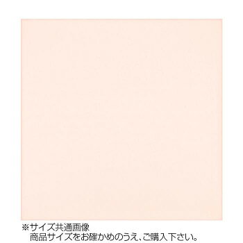 シンプルで落ち着いた色合いの無地タイプです。【お手入れ方法】・汚れたら優しくもみ洗いするか、洗濯機で洗ってください。洗剤は中性洗剤を使用してください。・洗濯の際には、洗剤が残らないように十分すすいでください。・色落ちの恐れがありますので、漂白剤は使用しないでください。・アイロンを掛けるときには、低温(80度〜120度)にてお掛けください。サイズ個装サイズ：7×10×1cm重量個装重量：150g素材・材質ポリエステル100%生産国日本fk094igrjs