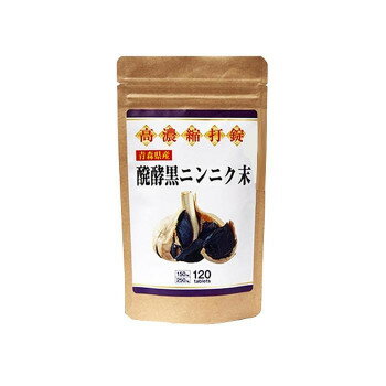 高濃縮打錠　発酵黒ニンニク末　120粒　RB10085