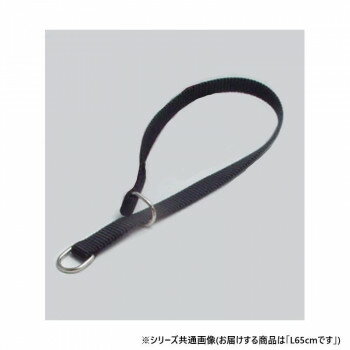 プロ用訓練リード　フラットンカラー　L65cm　黒 030841
