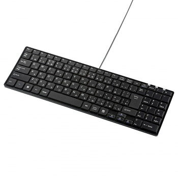 サンワサプライ USBスリムキーボード テンキー付き ブラック SKB-SL17BKN