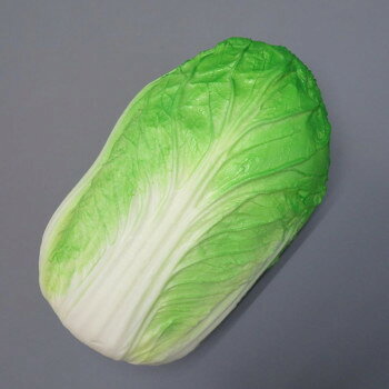日本職人が作る 食品サンプル 新鮮・白菜 IP-246