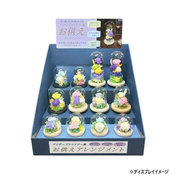 仏花やガラスドームと各商品をそのままディスプレイできるひな壇・販促用POPのセットです。　こちらの商品はプロショップ向けに売れ筋商品をピックアップしました。サイズW51.5×D46×H47cm個装サイズ：52×46×47cm重量4865g個装重量：4900g素材・材質ガラス・木・プリザーブドフラワー・ドライフラワー・ワイヤー・スチロールセット内容日々華/ピンク×1、日々華/パープル×1、瑞樹/ホワイト×1、架純/イエロー×1、花織/ホワイト×1、真帆/ラベンダー×1、羽叶/パープル×1、紫音/イエロー×1、優/ブルー+パープル×1、優/イエロー+ピンク×1、萌/ブルー×1、萌/パープル×1生産国日本fk094igrjs