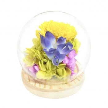 夏のお花を取り入れた仏花をガラスドームにアレンジしました。お仏壇に時節を感じて頂ける仏花です。ガラスドーム内にアレンジしていますので、保護性能も高くホコリを防いでお手入れの手間がかからないお供え花です。サイズφ10×H10.2cm個装サイズ：14×14×14cm重量102g個装重量：102g素材・材質プリザーブドフラワー・ドライフラワー:自然素材、アーティフィシャルフラワー:ポリエステル・ポリエチレン、ドーム:ガラス、台座:木製、フローラルフォーム:フェノール樹脂生産国日本fk094igrjs