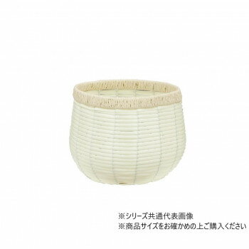 大橋新治商店 ホワイトホルツ Y3 23-447