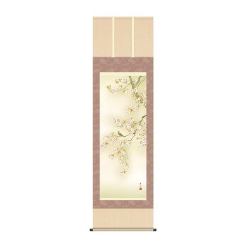 掛軸 緒方葉水 桜花に小鳥 54.5×190cm KZ2A6-33A