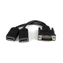 【送料無料】StarTech.com DMS-59 デュアルDisplayPort分岐ケーブル 20cm ブラック DMSDPDP11本
