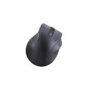 【送料無料】エレコム 静音 Bluetooth5.0マウス EX-G 5ボタン XLサイズ M-XGXL30BBSKBK ブラック