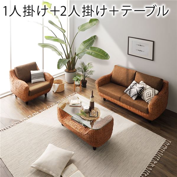 【送料無料】〔開梱組立設置サービス付き〕 インテリア家具 3点セット 1人掛けソファ + 2人掛けソファ + ローテーブル ブラウン 木製 脚付き 足付き センターテーブル付き アジアン調 高級 天然木 ウォーターヒヤシンス リビング家具 生活家具【代引不可】