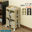 ■サイズ・色違い・関連商品■ブラウン[当ページ]■アイボリー■商品内容ラタン調の新聞ストッカーです。丈夫でおしゃれな人工ラタン製のストッカーです。収納スペースは全3段あります。古新聞、雑誌等を種類別に分けて収納することも出来ます。積み重ねたまま隙間から新聞を収納出来ます。雑誌もサイズによっては収納可能です。新聞や雑誌をまとめるときに便利な結束棒が付属します。紐を一周させて結束棒のフックを紐に絡めてクルクル回すと締め付けられます。あらかじめ紐を通しておくとまとめるときの手間が省けます。ブラウン（BR）、アイボリー（IV）の2色展開です。■商品スペック■サイズ(約)：幅400×奥行300×高さ650mm■梱包サイズ(約)：幅415×奥行300×高さ630mm、1個口■本体重量(約)：3.0kg■梱包重量(約)：4.1kg■材質：フレーム/スチール（粉体塗装）、かご/人工ラタン（ポリエチレン）■カラー：ブラウン■付属品：キャスター4個（2個のみストッパー付き）■原産国：ベトナム【組立てについて】・本品はお客様にて組立ての作業が必要となります。（キャスターのみ取り付け）・商品の組立て開始前に、部材不足・破損がないか必ずご確認ください。・約5分（付属の工具にて取り付け）【特記事項】・お客様のPC環境により色味が異なる場合がございますので予めご了承ください。・お届け商品に、不良・不具合がありました場合には、修理・交換にて対応させていただきますので、メールにてご連絡いただけますようにお願いします。組立品に関しましては、出来るだけ部品対応をお願いいたします。なお、ご連絡の際には、不良部分の画像を添付して下さい。・商品が到着した際は、商品を確認するまで段ボール、梱包材は処分しないようにお願いいたします。交換の際、箱を使用いたします。・返品、交換の際の梱包はお客様にてお願いいたします。組立後の商品（不良品）につきましては、組み立てたままでの返品、交換はできませんのでご了承ください。【配送について】本商品は、北海道・沖縄・離島への配送はいたしかねます。あらかじめご了承ください。■送料・配送についての注意事項●本商品の出荷目安は【1 - 4営業日　※土日・祝除く】となります。●お取り寄せ商品のため、稀にご注文入れ違い等により欠品・遅延となる場合がございます。●本商品は仕入元より配送となるため、北海道・沖縄・離島への配送はできません。[ tme21 ]