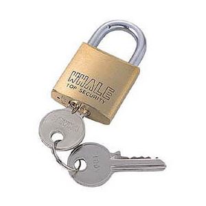 (まとめ)サンワサプライ eセキュリティ(マスターキー対応南京錠・大) SLE-1LM【×5セット】