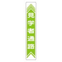 路面道路標識 見学者通路 路面-22【代引不可】