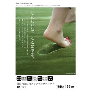 【送料無料】フランネル ラグマット/絨毯 【直径140cm インディゴ】 円形 ホットカーペット 床暖房可 低反発&高反発 防音 防滑【代引不可】