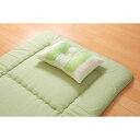 【送料無料】枕/ピロー 【約43×63×14cm 普通】 側地綿100% 高さを選べる ヒバエッセンス使用 『森の眠りひば枕B』 〔ベッドルーム〕【代引不可】