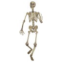 【送料無料】SUNSTAR Pose & Hold Skeleton(ポーズ&ホールド等身大のスケルトン)【代引不可】