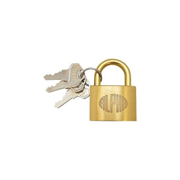 （まとめ）アルファ シリンダー錠 NO.1000-35 袋入 35mm【×3セット】(3)