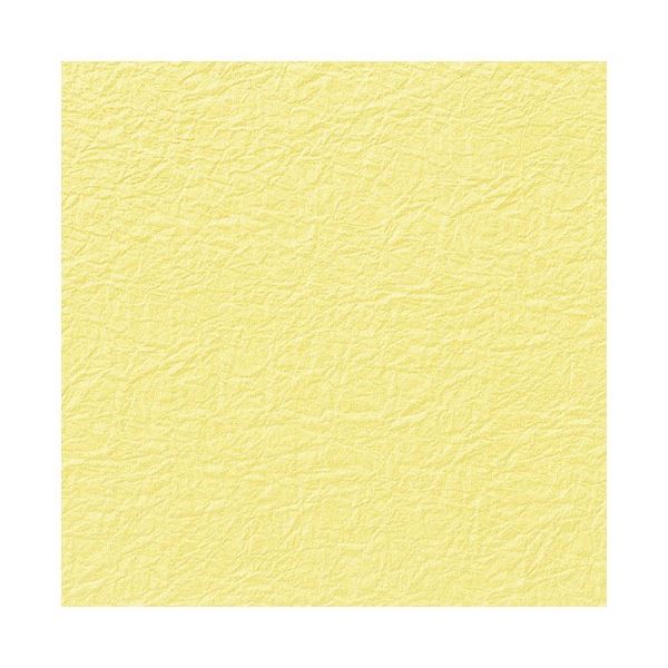 （まとめ） 和紙 鳥の子 エンボス NO.5 ウスキ 【×5セット】