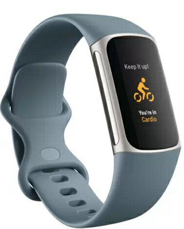 fitbit Charge 5 健康管理トラッカー FB421SRBU-FRCJK スチールブルー／プラチナ ステンレススチール 青 Fitness Health GPS搭載 ペースと距離