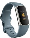 fitbit Charge 5 NǗgbJ[ FB421SRBU-FRCJK X`[u[^v`i XeXX`[  Fitness & Health GPS y[XƋ