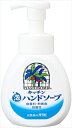 ヤシノミ キッチン泡ハンドソープ 【 サラヤ 】 【 食器用洗剤・自然派 】 1点