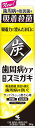 歯周病ケアスミガキ 【 小林製薬 】 【 歯磨き 】 1点