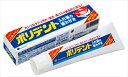 ポリデント 入れ歯の歯みがき 【 Haleonジャパン 】 【 入れ歯用 】 1点