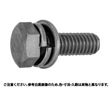 ステン　トリーマI＝3 表面処理(GB（茶ブロンズ）) 材質(ステンレス) 規格(6X50) 入数(100) 04194339-001【04194339-001】