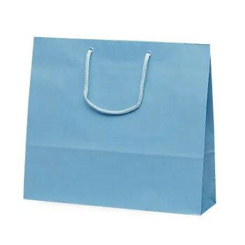 ファインバッグ手提袋 ブルー 1177 10枚