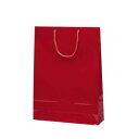 エクセルバッグ手提袋 ワイン 1103 10枚