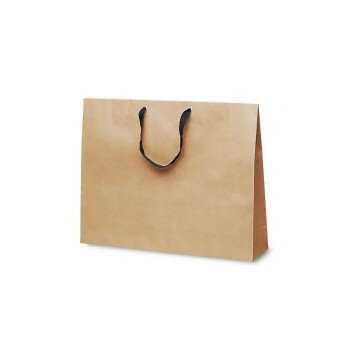 T-ショルダー13手提袋 茶無地 1986 10枚