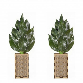 A��K �������ץꥶ���֥� �ߥ�S�� ��Ω�ƥ��С����å� ST-023