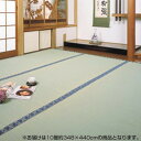 い草上敷き 糸引織(平安) 10畳 約348×440cm TSN340924