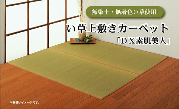 無染土 い草 上敷き/ラグマット 【江戸間8畳 約352×352cm】 裏:不織布張り 抗菌 防臭 ボリューム 〔リビング〕【代引不可】 [2]