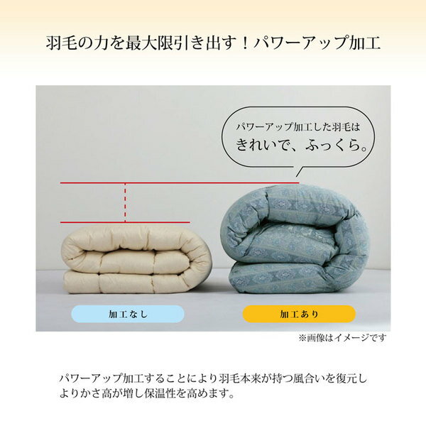 寝具羽毛掛け布団日本製抗菌防臭防ダニアレルプラス加工立体キルトダウンパワー350ホワイトダックダウン85%シングルロング150times;210cmブルー【代引不可】