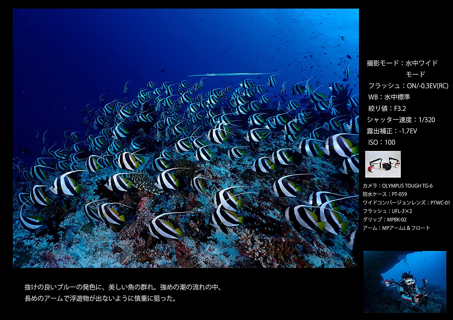 全商品オープニング価格特別価格 Olympus デジタルカメラ Tough Tg 6 ブラック 10万画素cmos F2 0 15m 防水 100kgf耐荷重 Gps 内蔵wi Fi Tg 6blk 超歓迎 Kahucrossfit Com 全商品オープニング価格特別価格 Olympus デジタルカメラ Tough Tg 6 ブラック 10万画素cmos F2 0 15m 防水 100kgf耐荷重 Gps 内蔵wi Fi Tg 6blk 超歓迎 Kahucrossfit Com