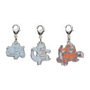 ポケモンセンターオリジナル 全国ずかん メタルチャーム 111 112 464 サイホーン サイドン ドサイドン キーホルダー 代引不可商品
