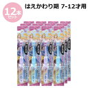 リーチ キッズ ディズニープリンセス はえかわり期用 歯ブラシ 12本セット 子ども用歯ブラシ 7～12才用 セット売り まとめ 大容量