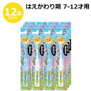 リーチ キッズ ポケモン はえかわり期用 歯ブラシ 12本セット 子ども用歯ブラシ 7～12才用 ピカチュウ セット売り まとめ 大容量