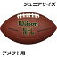 Wilson NFL スーパーグリップ フットボール ジュニア サイズ 並行輸入品 4,980円
