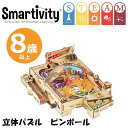 Smartivity 立体パズル 点数を競うピンボール 作る知育玩具 8歳以上 日本語説明書 SMRT007 STEAM DIY