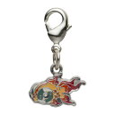 ポケモンセンターオリジナル 全国ずかん メタルチャーム 1004 イーユイ キーホルダー 代引不可商品