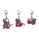 ポケモンセンターオリジナル 全国ずかん メタルチャーム 1007 コライドン キーホルダー 代引不可商品